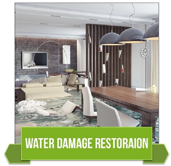 Water Flood Cleanup Service for Restoration in Dyer, AR
